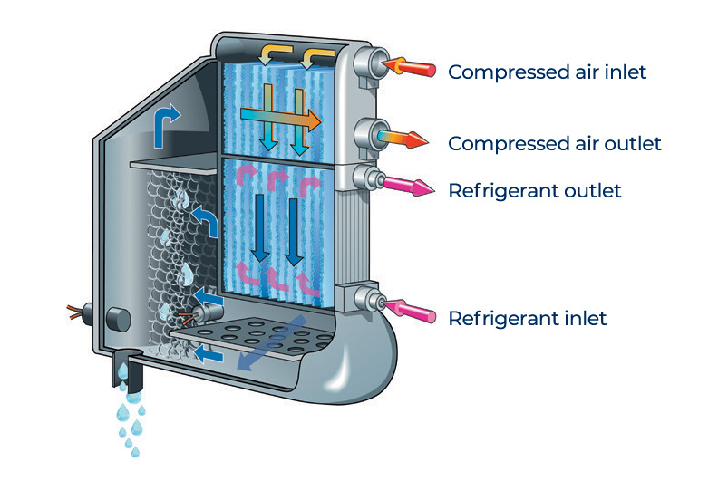 Dryer Schematic